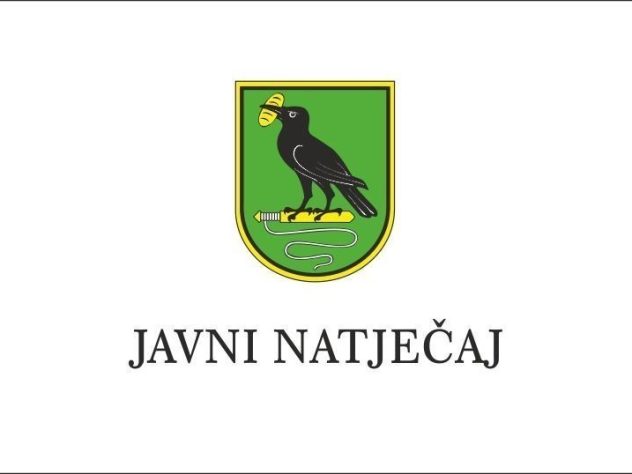 JAVNI NATJEČAJ Za Financiranje Programa I Projekata Udruga Od Interesa Za Opće Dobro Koje Provode Udruge Na Području Grada Lepoglave U 2021. Godini