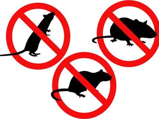 OBAVIJEST VETERINARSKE STANICE D.d. VARAŽDIN O OBVEZATNOJ SUSTAVNOJ DERATIZACIJI NA PODRUČJU GRADA LEPOGLAVE