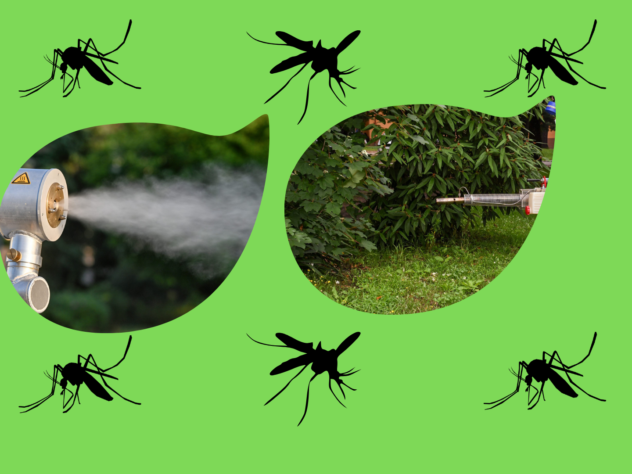U Skladu Sa Zakonom: Dezinsekcija Komaraca Zbog Invazivnih Vrsta